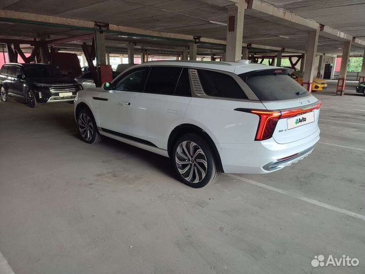 Hongqi E-HS9 AT, 2022, 100 км