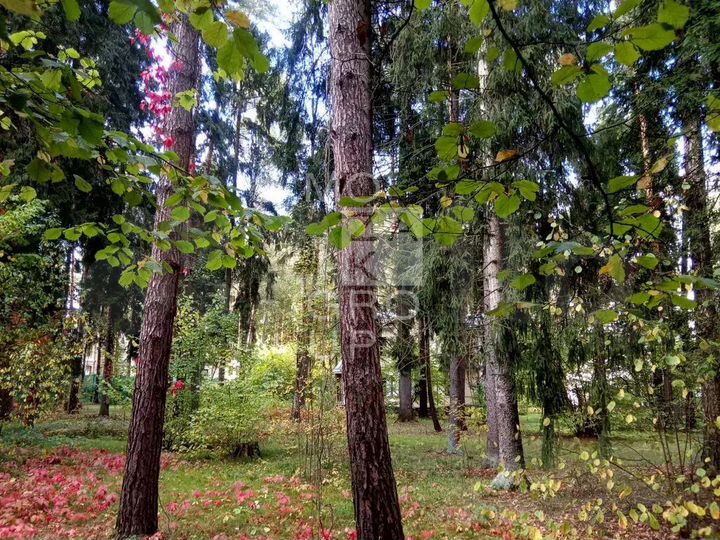 Участок 22 сот. (ИЖС)