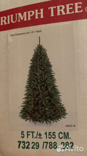 Triumph tree сосна 155 см