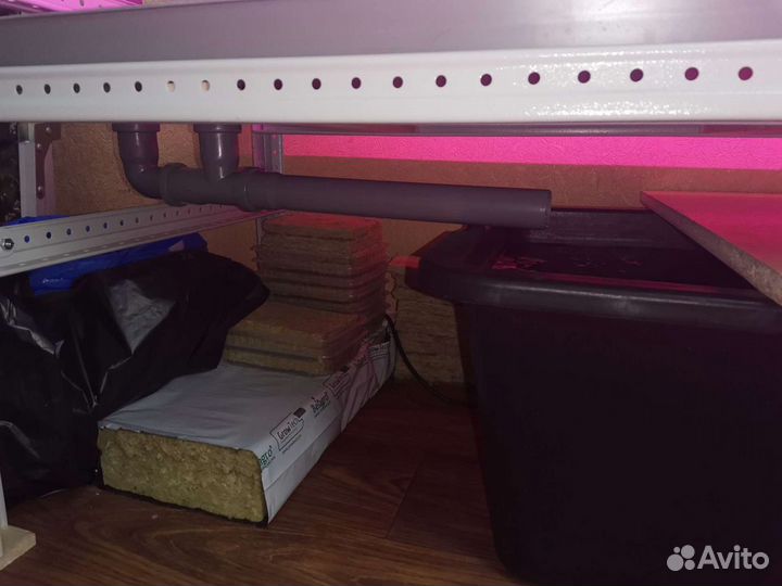 Стеллаж гидропоники для выращивания микрозелени и