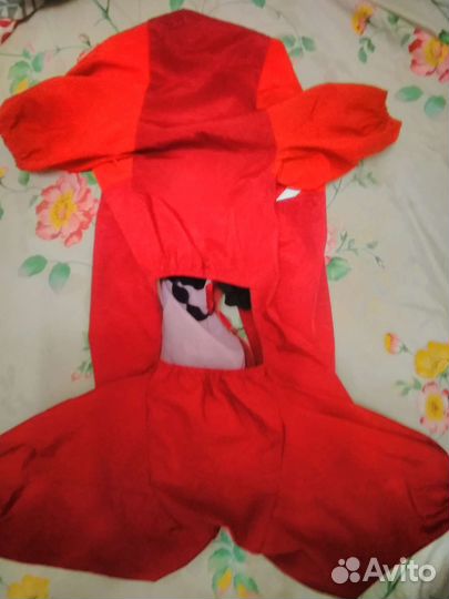 Одежда и обувь для большой собаки