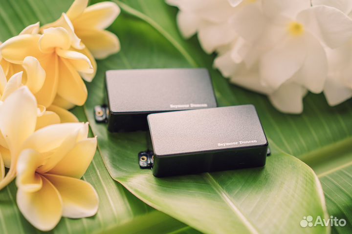 Seymour Duncan AHB-1 Blackouts Set