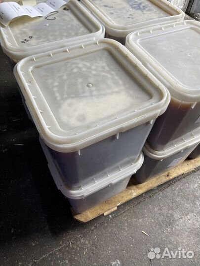 Свежий эспарцетовый мёд. Качка 2023 Оптом