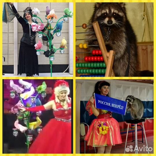 Шоу мини - пигов, любые хищники, птицы, цирк - шоу