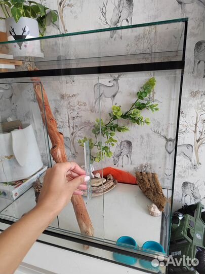 Террариум для рептилий бу