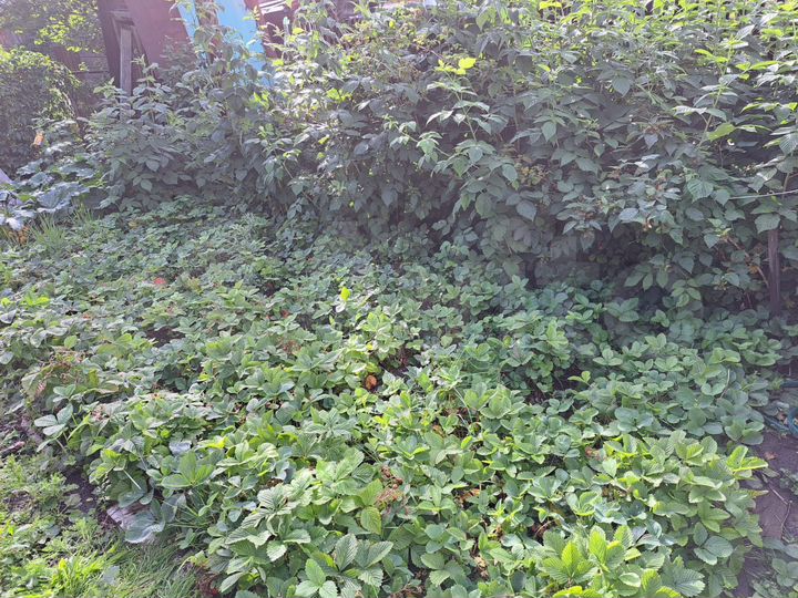 Дача 10 м² на участке 7 сот.