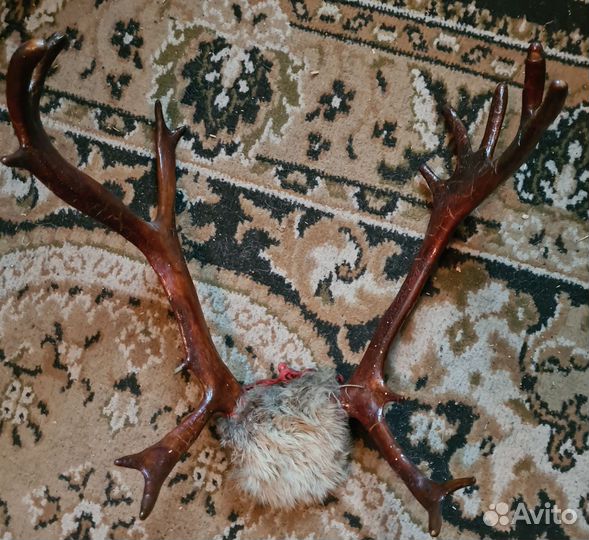 Рога пакетом