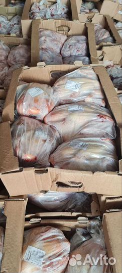 Мясо птицы курица бройлер