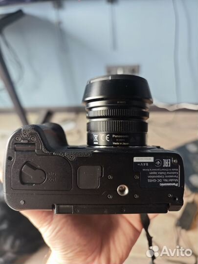 Panasonic lumix gh5s