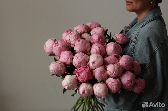 Пионы Оптом и в розницу