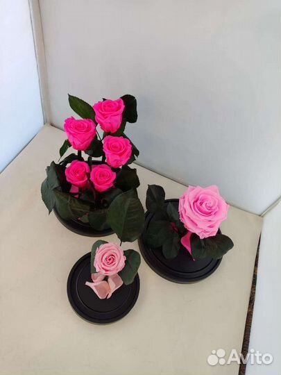 Розы оптом