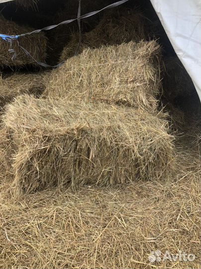 Сено луговое в тюках