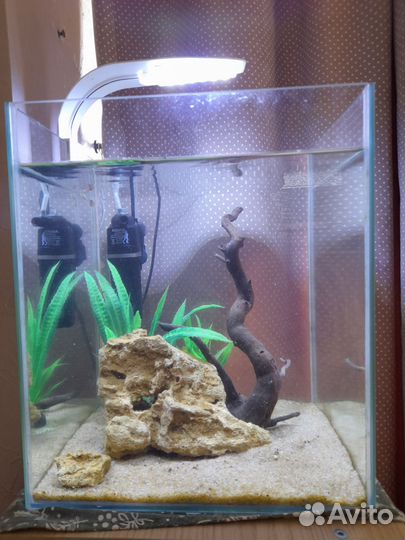 Аквариум куб 31л