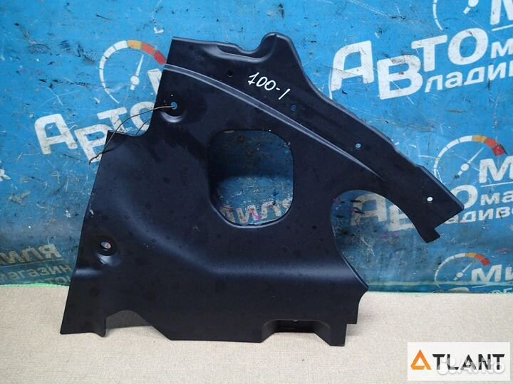 Накладка на телевизор правый BMW X4