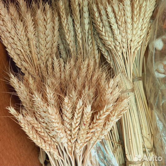 Для флористики