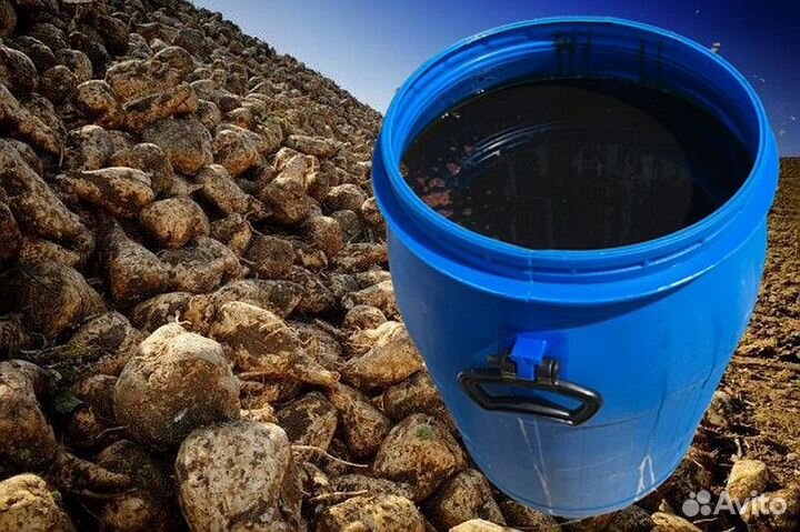 Патока свекловичная меласса