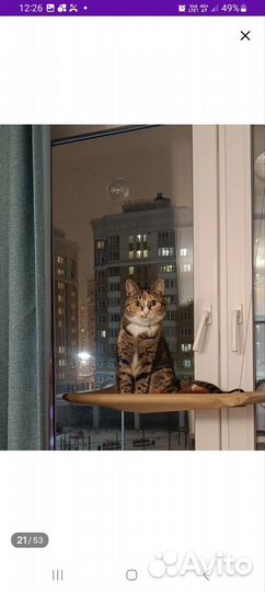 Товары для кошек:игровой тоннель, гамак-лежанка