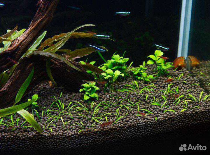 Грунт пропант