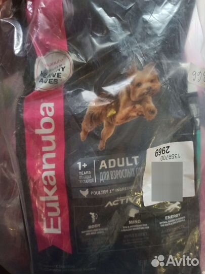 Корм Eukanuba для йорков