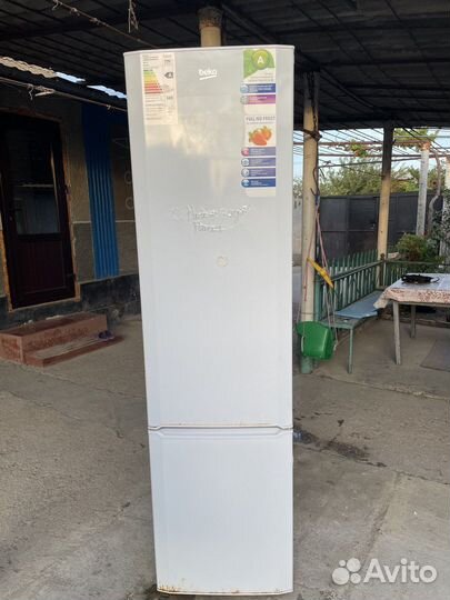 Холодильник beko