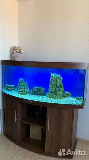 Аквариум Juwel 450 vision