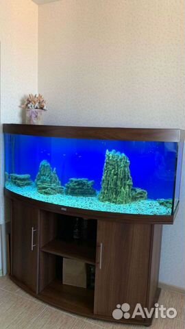 Аквариум Juwel 450 vision