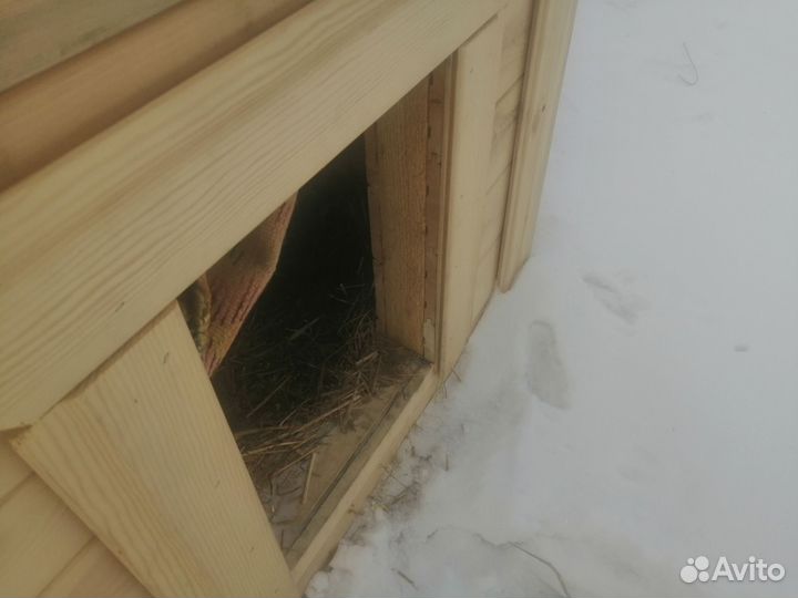 Будка для собаки утепленная