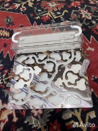 Муравьиная ферма