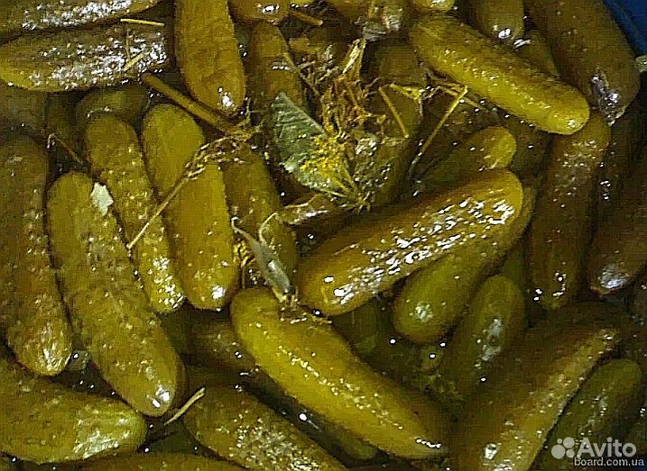 Огурцы соленые бочковые