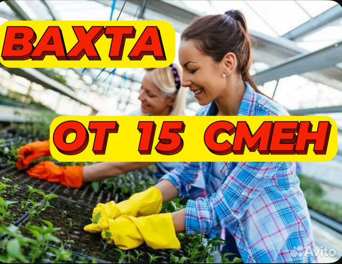 Вахта 15 Москва Проживание/Разнорабочий в теплицу