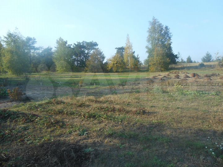 Участок 40 сот. (СНТ, ДНП)