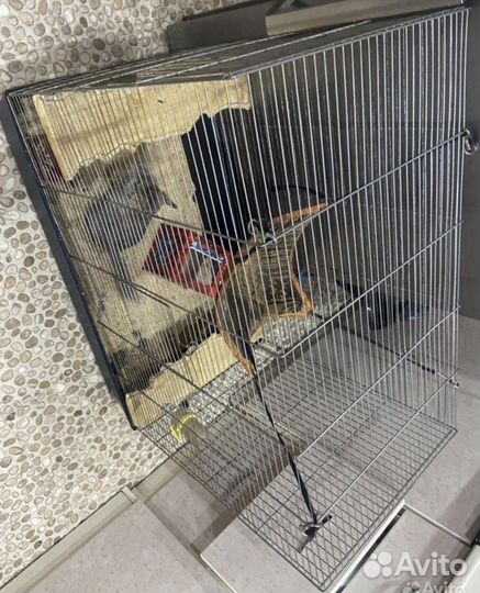 Клетка для грызуна (шиншилла, крыса, дегу и т.д.)