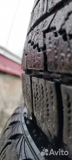 Roadstone Winguard Ice 205/55 R16 91Q