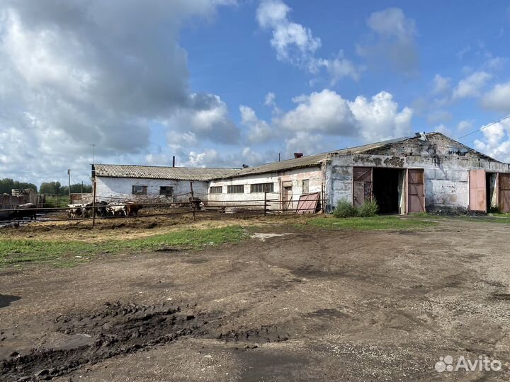 Продам животноводческий комплекс большой дом