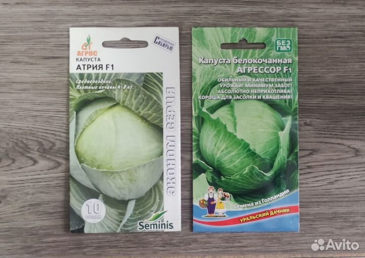 Семена капусты белокочанной