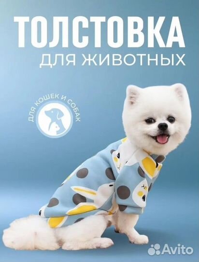 Кофта для собак, кошек