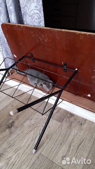 Котята в добрые руки 1 месяц