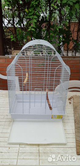 Клетка для попугая корелла
