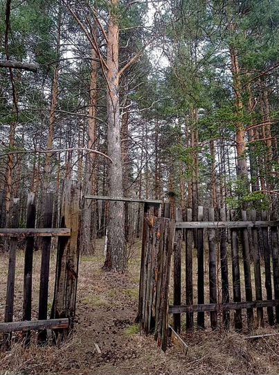 Дача 30 м² на участке 9 сот.