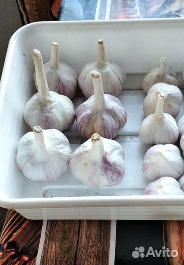 Чеснок, семена укропа