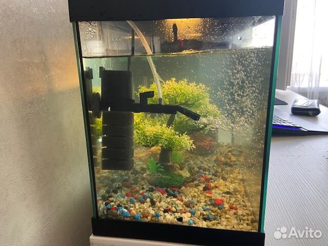 Продается аквариум