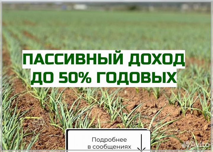 Готовый бизнес пассивный доход