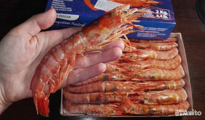 Лангустины с Головой и без Головы