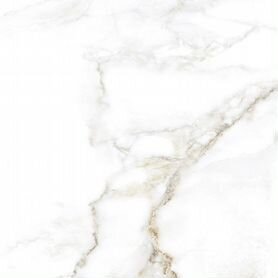 Керамогранит Carrara Premium White PG 01 600x600 с