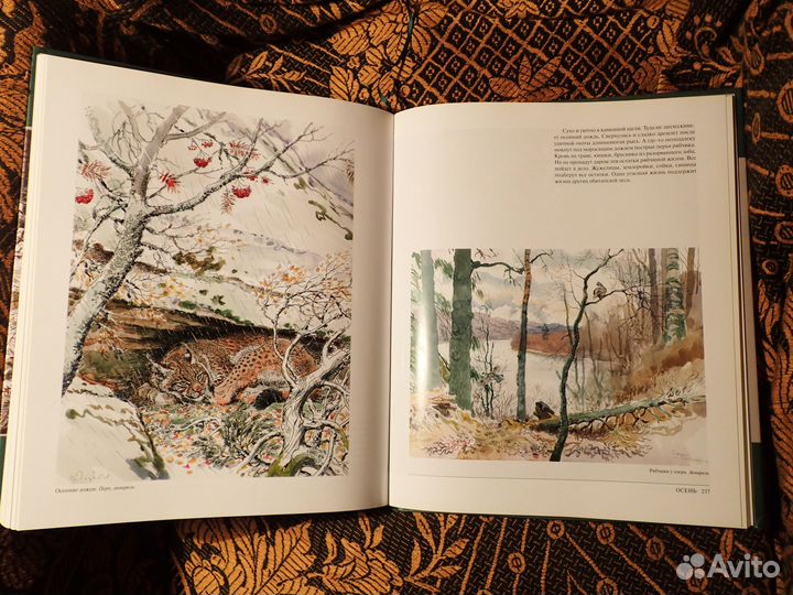 Книга. Вадим Горбатов. Под пологом русского леса