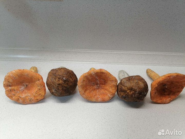 Ватные игрушки на елку