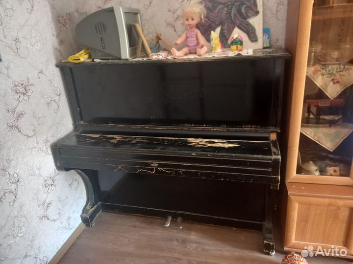 Отдам даром бесплатно