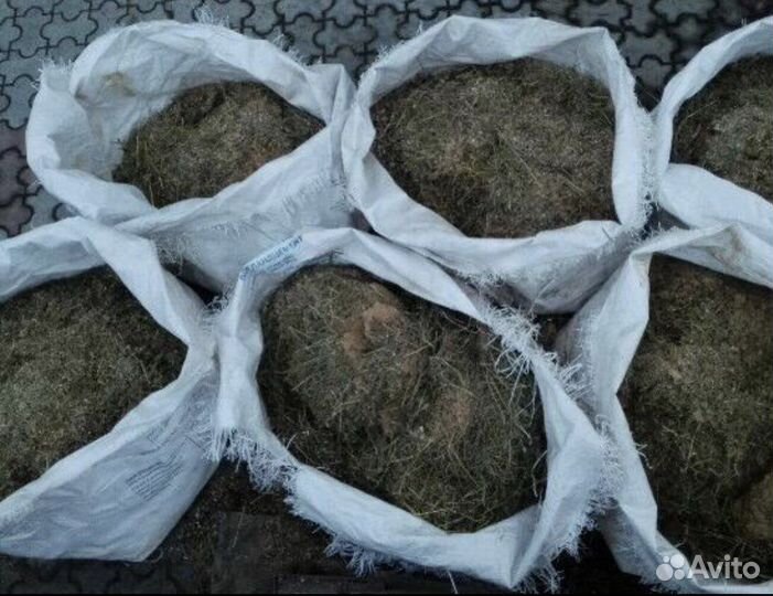 Удобрение- Навоз