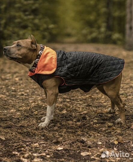 Попона для собак, куртка комбинезон