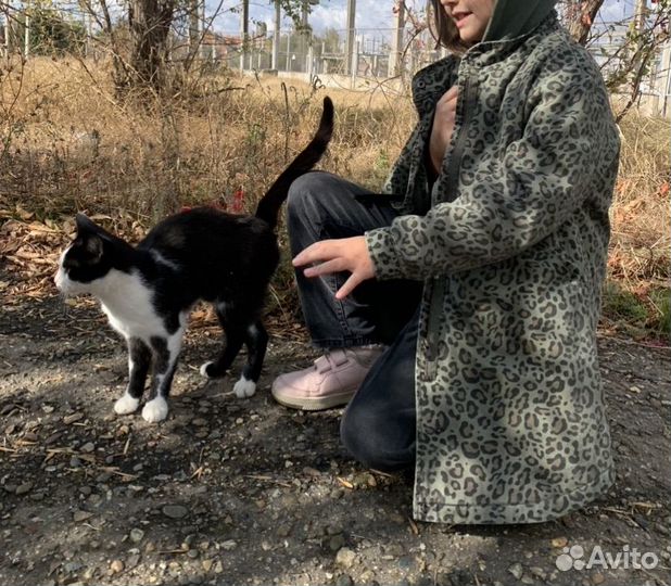 Куртка пальто zara для девочки